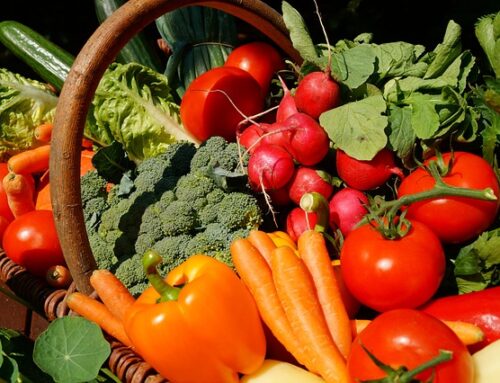 Recetas con verduras